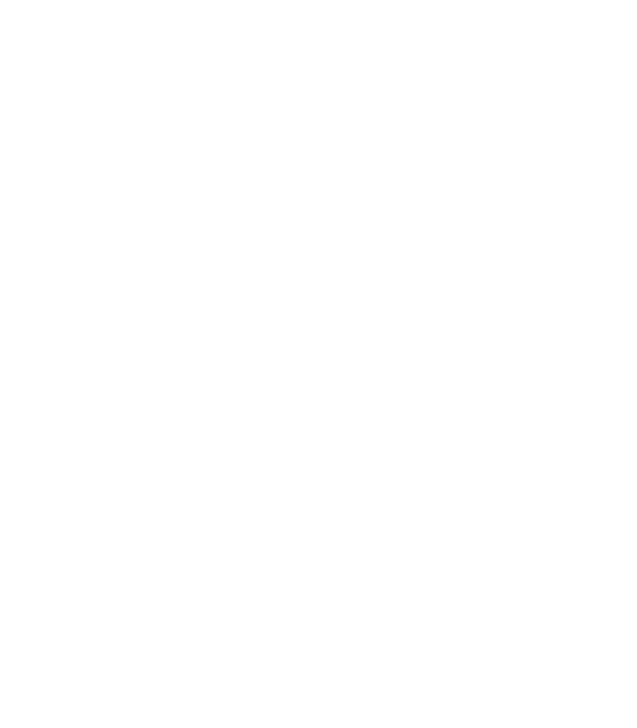 Fungo Race