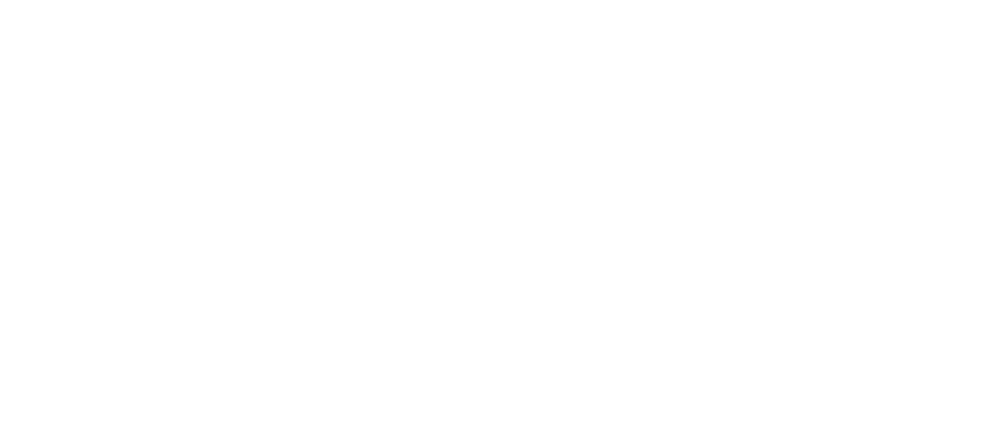 Fungo Race